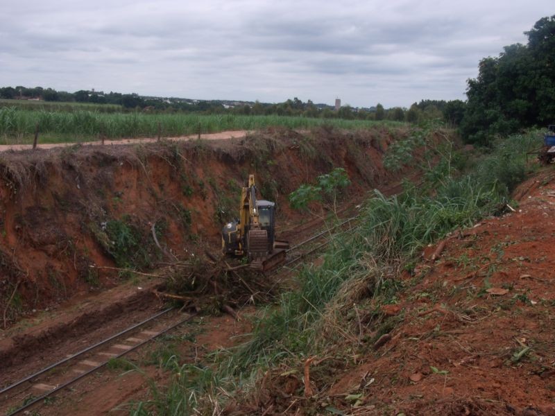 Limpeza do leito e da marginal da linha férrea continua