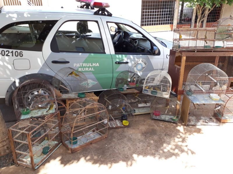 Lavrador é multado em R$ 20,5 mil por manter passarinhos em cativeiro