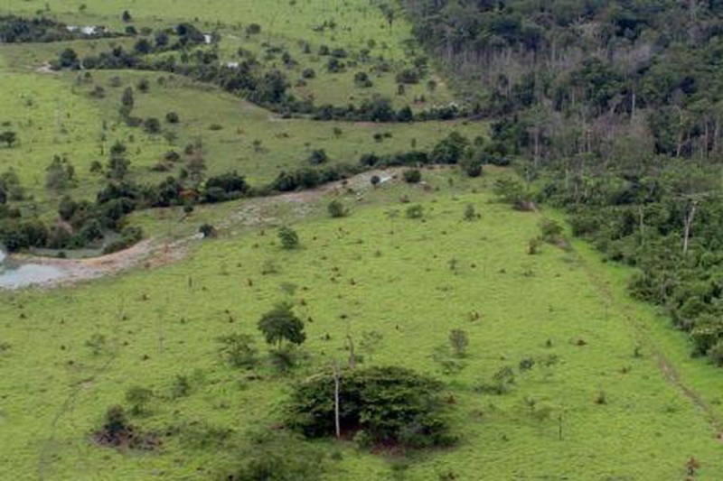 Começa hoje prazo para entrega da declaração de propriedade rural