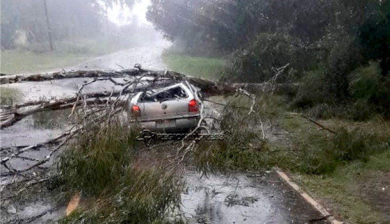 Araçatuba e Birigui registram temporal com queda de árvores e granizo