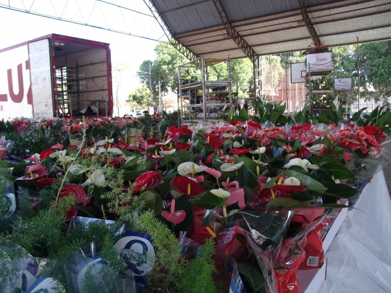 Festival das Flores termina amanhã em Penápolis