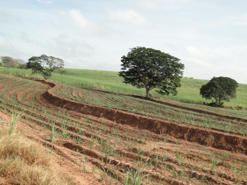 Consórcio anuncia projetos para preservação do Lajeado