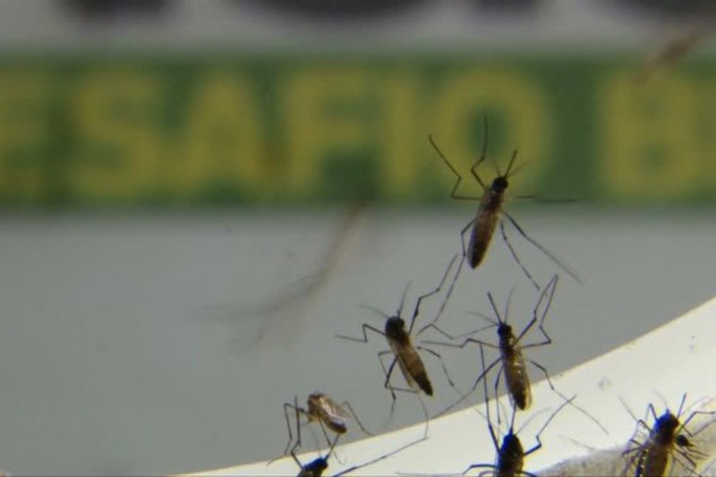 Sorocaba decreta epidemia da dengue