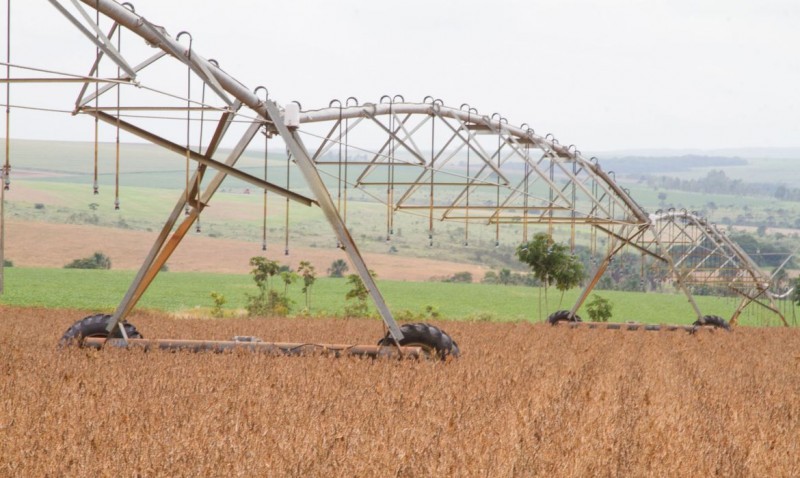 IBGE prevê safra recorde de grãos, com alta de 2,2%