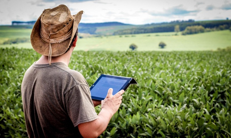 Inscrição para pós em Tecnologia na Agricultura termina hoje na Funepe