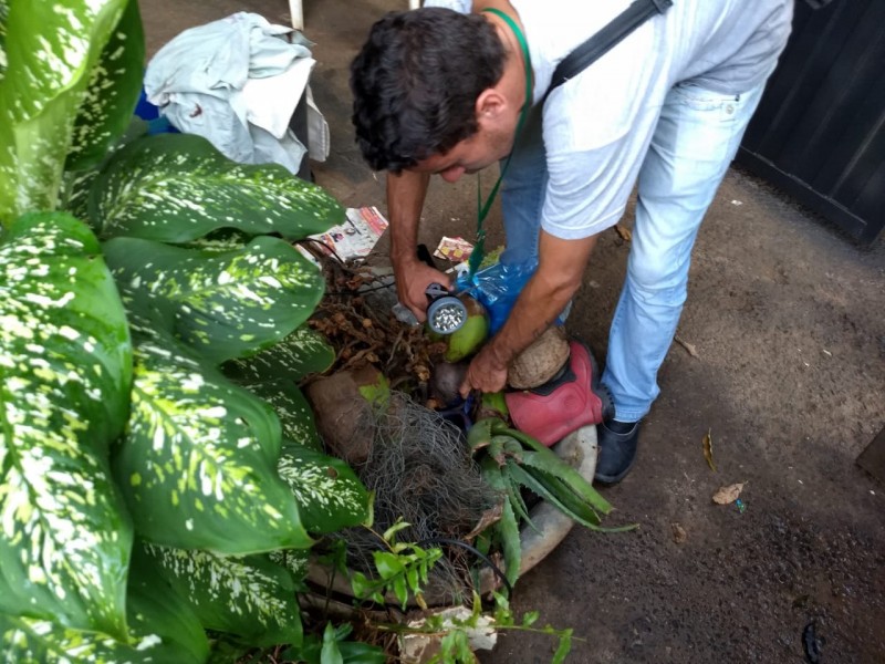 Prefeitura divulga classificação para 'Frente de Trabalho contra o Aedes'