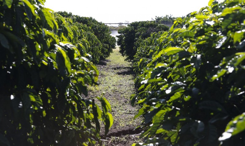 Senado aprova MP do Agro e texto vai à sanção presidencial