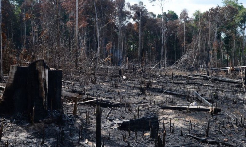 AGU cobra R$ 1,3 bilhão por desmatamento na Amazônia Legal