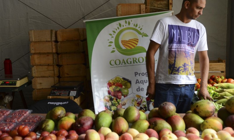 Agricultura prorroga validade de declaração do pequeno produtor