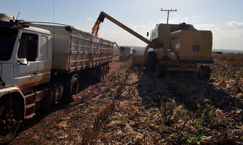 CMN autoriza renegociação de crédito rural