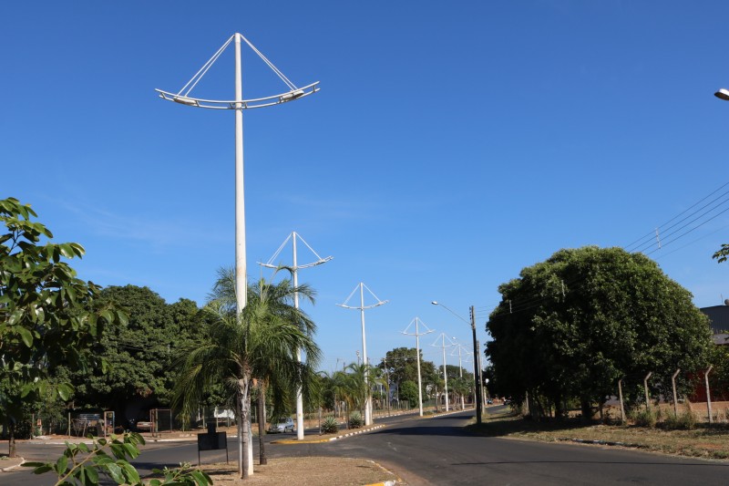 Câmara pede efetivação de ações para cuidados em postes maiores