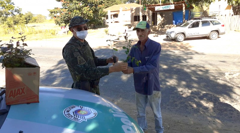 Polícia Militar Ambiental distribui mudas de árvores