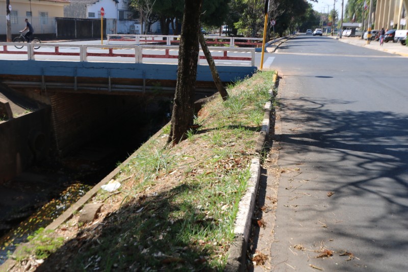 Pedido defende mureta em pontes da Marginal Maria Chica