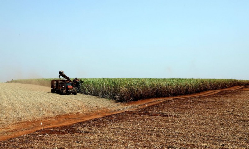 Estimativa de junho prevê safra recorde de 247,4 milhões de toneladas