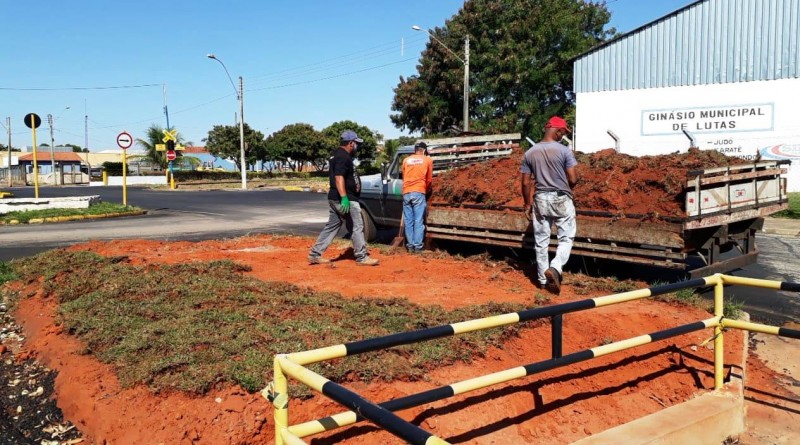 Secretaria de Agricultura executa embelezamento em canteiros centrais