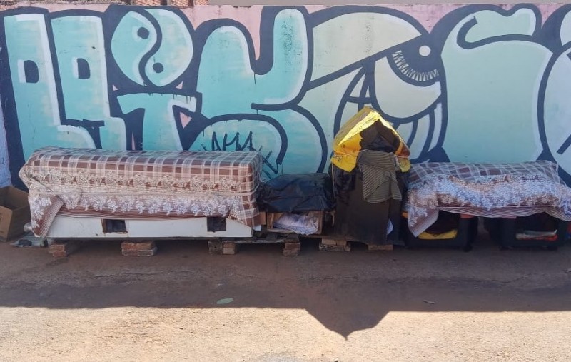 Vandalismo contra animais na região do Estádio preocupa APAP