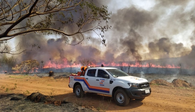 Queimada de grandes proporções atinge área de vegetação em Rio Preto