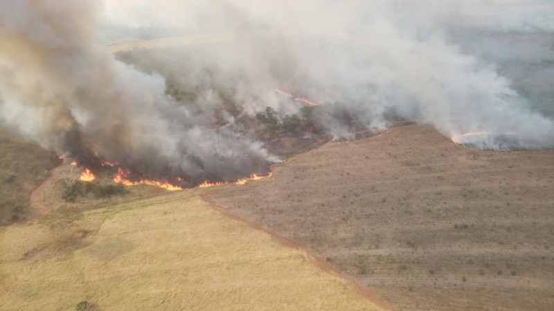 Incêndio em Rio Preto já consumiu área equivalente a 400 campos de futebol