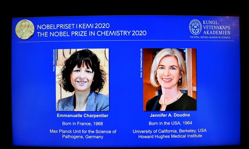Duas cientistas vencem Nobel de Química por pesquisa com genoma