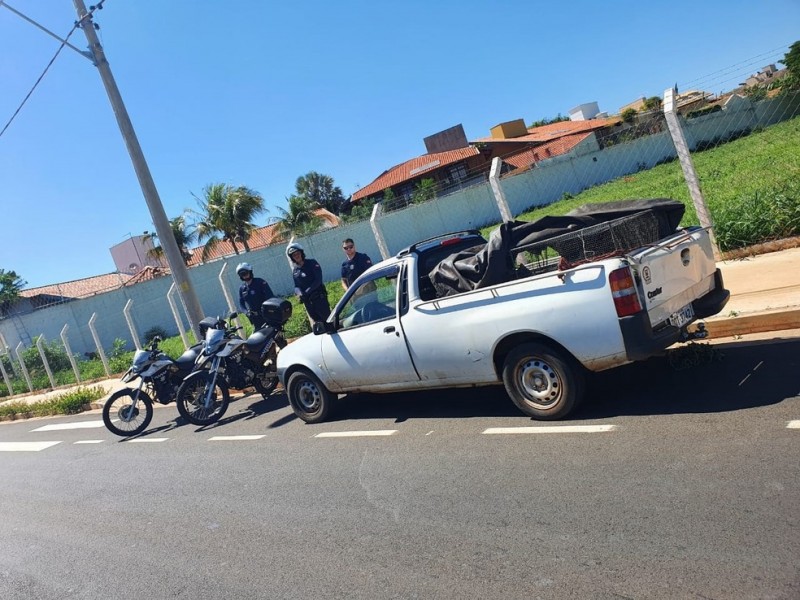 Comerciante é flagrado abandonando gatos em terreno em Rio Preto