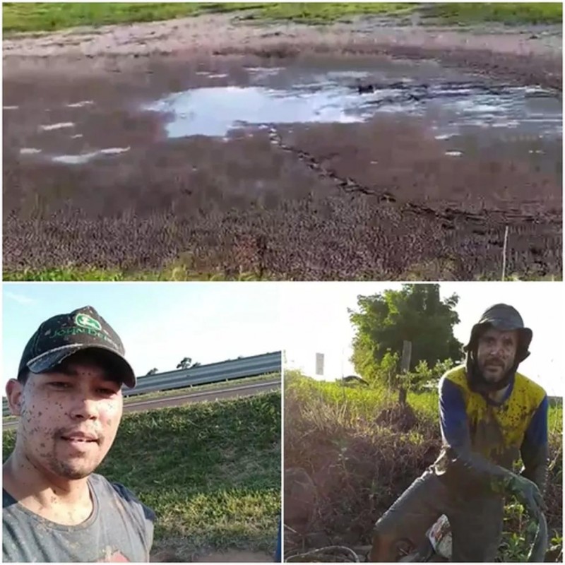 Moradores se unem para salvar peixes após lagoa secar no interior de SP: 'Satisfação muito grande'