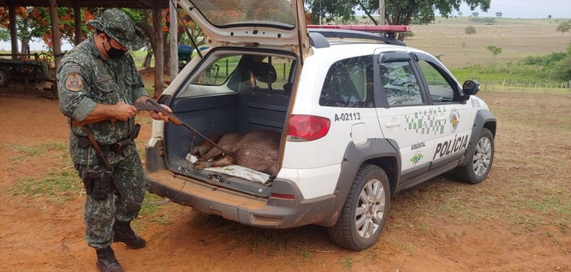 Administrador é preso em flagrante com arma irregular após abate de capivara