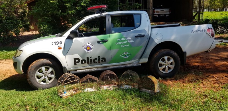 Agricultor é preso com arma e multado por manter pássaros em cativeiro