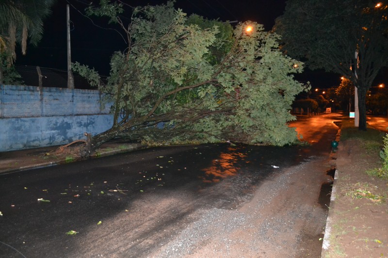 Chuva com granizo provoca alagamentos, queda de árvores e deixa bairros sem energia