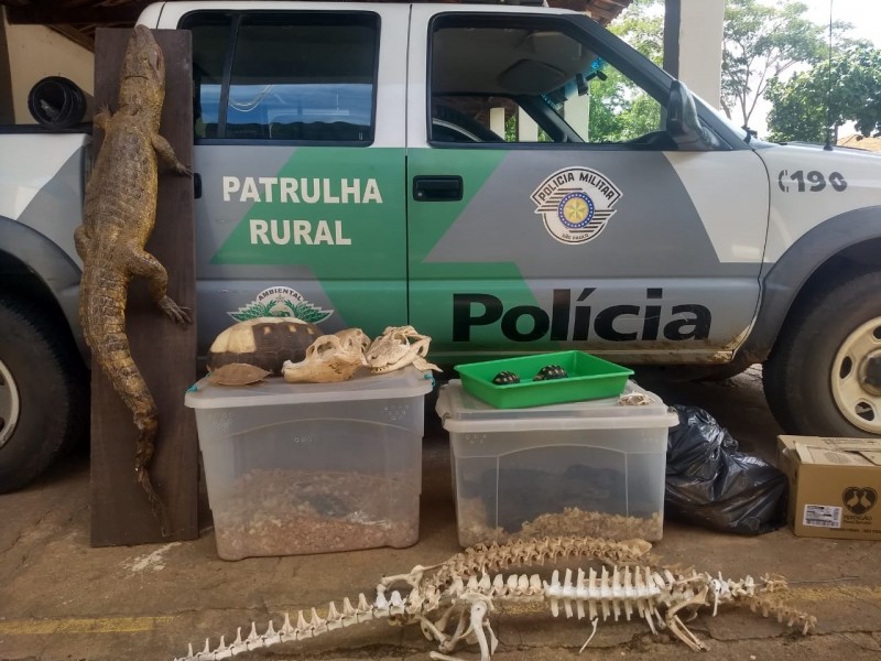 Polícia Ambiental recolhe animal silvestres e armas em operação