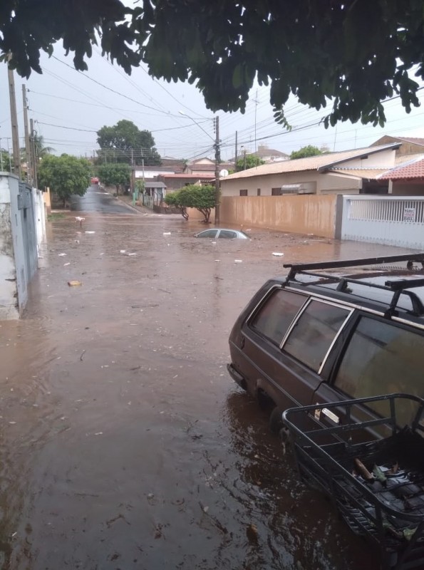 Chuva causa alagamentos, derruba árvores e provoca estragos em Fernandópolis