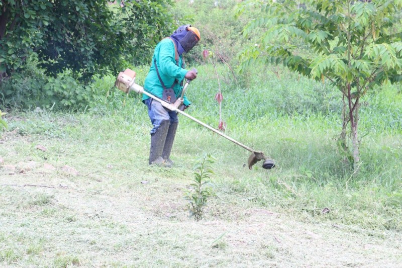 Consórcio Ribeirão Lajeado efetua roçagem em área de reflorestamento