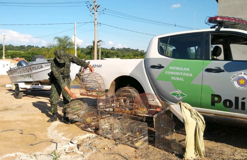 Homem é multado em R$ 12 mil por manter pássaros em cativeiro