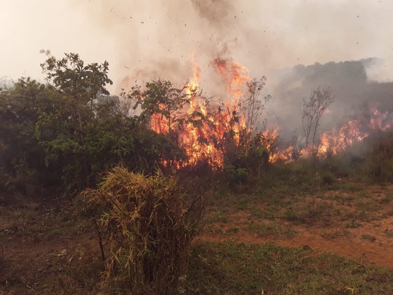 Com chegada de estiagem, bombeiros alertam para prevenção a queimadas