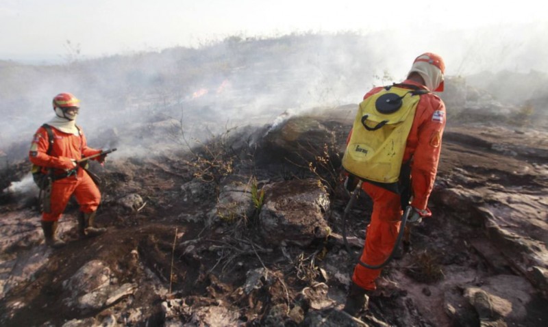 Ibama é autorizado a contratar temporariamente 1.659 profissionais