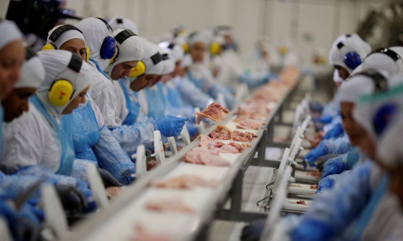 Arábia suspende compra de carne de ave de 11 frigoríficos do Brasil