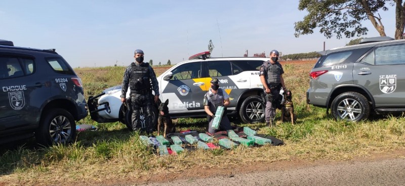 Vendedor é preso após cães encontrarem tijolos de maconha em bagagens