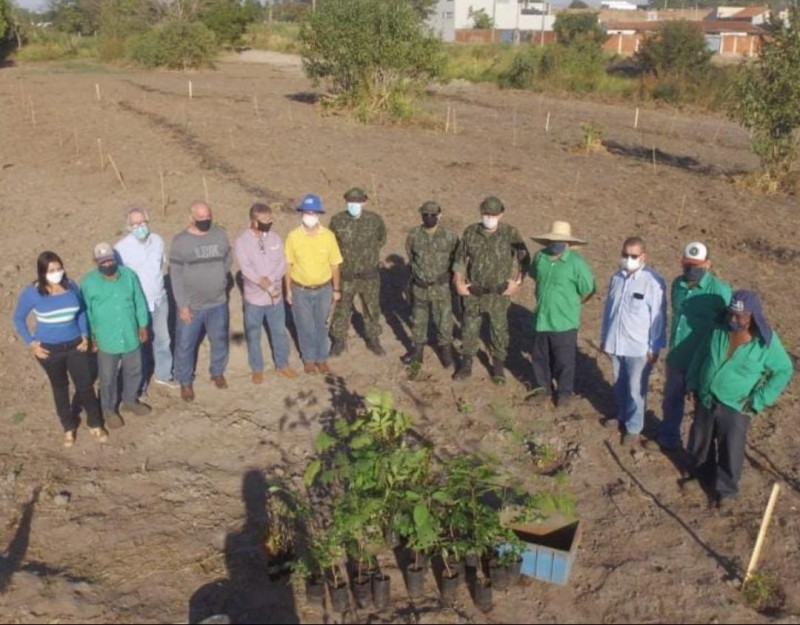 Plantio de mudas de árvores nativas marca Semana do Meio Ambiente