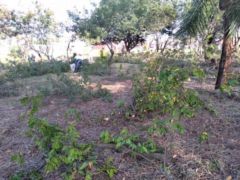 Agricultura efetua limpeza de praça e áreas verdes no Jardim Pevi