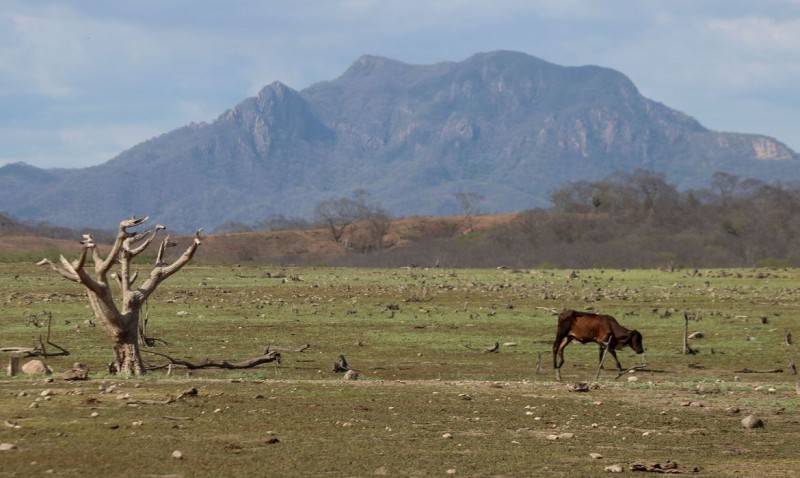 México sofre com falta d'água; produção agrícola é ameaçada