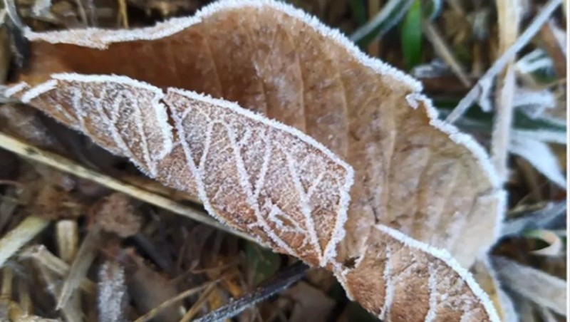 Fim de semana será de sol, mas nova onda de frio avança a partir de segunda