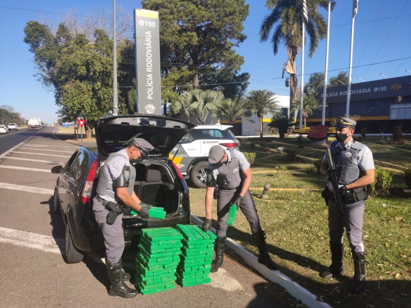 Polícia Rodoviária apreende mais de 200 quilos de maconha na Marechal Rondon