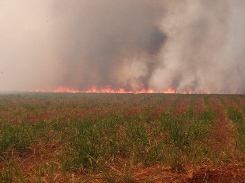 Incêndio é registrado às margens da rodovia Marechal Rondon