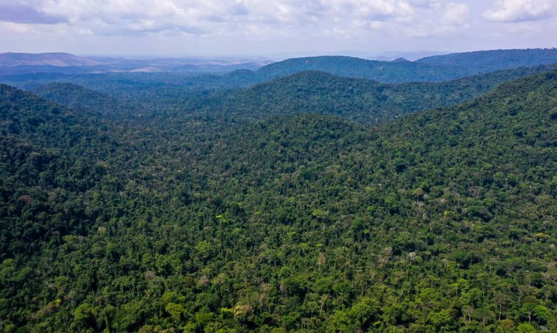 Unesco e Amazonas lançam plano de ação para Amazônia Central