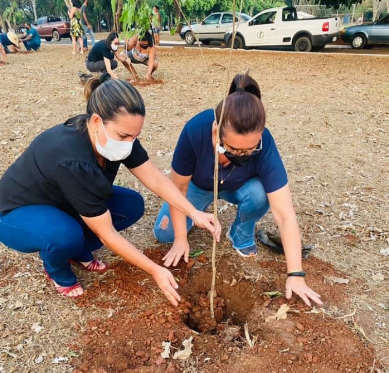 Prefeitura de Barbosa planta 21 ipês em memória às vítimas do coronavírus