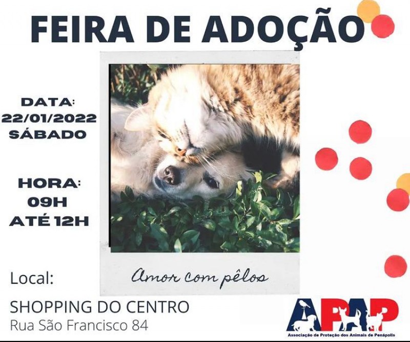 Apap realiza feira de adoção de animais neste sábado