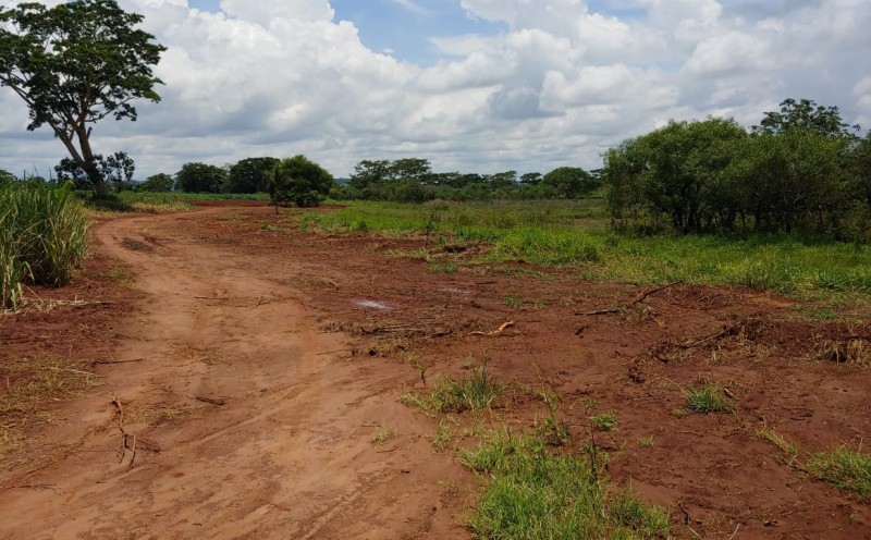 Polícia Ambiental autua em quase R$ 30 mil proprietário de sítio por degradações