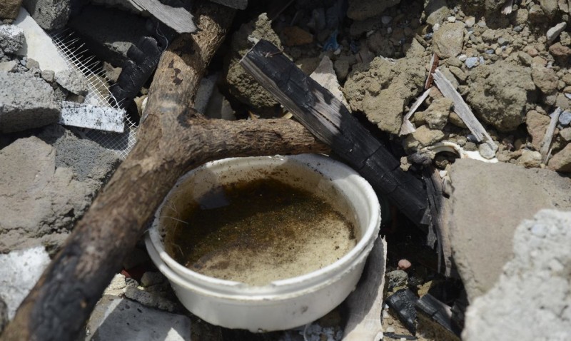 São Paulo já soma mais casos de dengue do que em todo ano passado