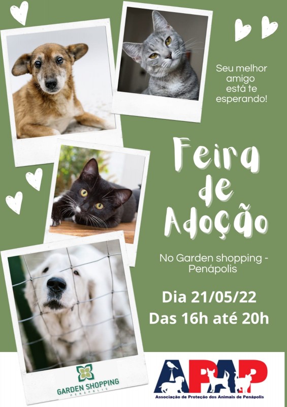 Sebo Cultural terá presença de animais para adoção neste sábado