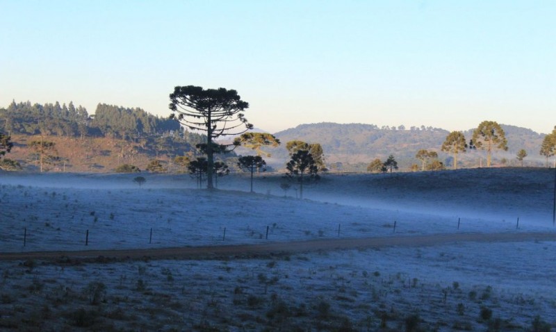 Urupema, em Santa Catarina, registra menor temperatura do ano