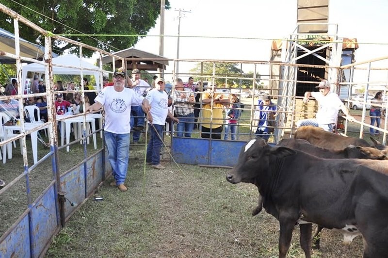 Evento pró Lar Vicentino e Casa de Apoio tem renda líquida de mais de R$ 425 mil